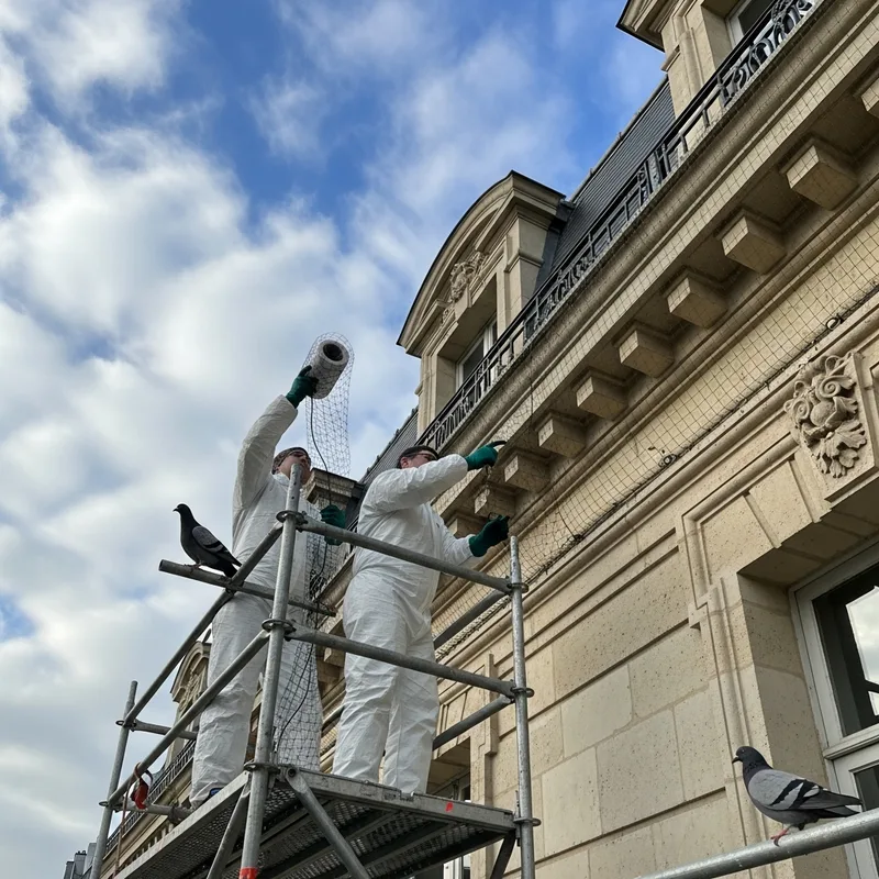 Techniciens Entoma Solutions posant des filets anti-pigeons sur une façade haussmannienne parisienne